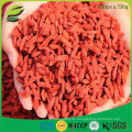 Ningxia goji Beere Preis Chinesische natürliche Beere Goji Wolfberry Mispel Lycium barbarum L Samen